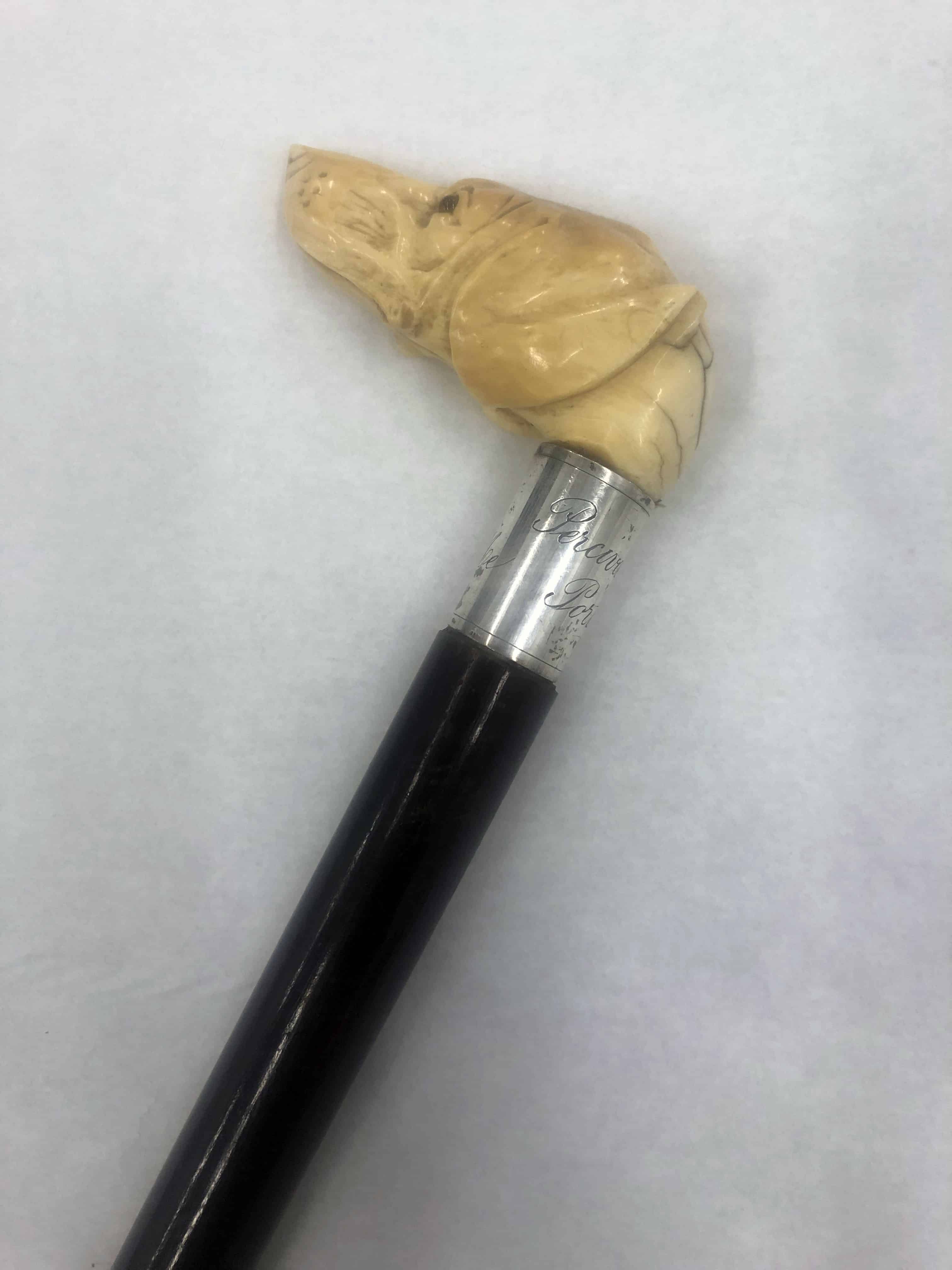 Photograph of a walking cane with a handle in the shape of a carved dog's head.