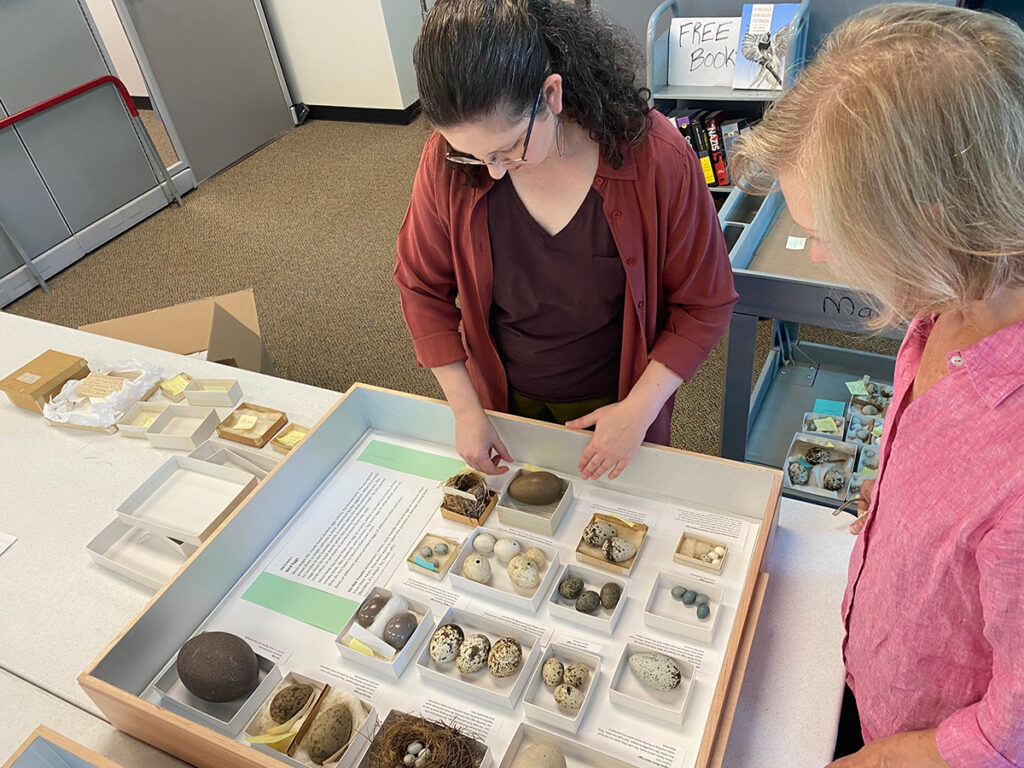 Two women examining a display of historical artifacts in a museum setting, engaged in conversation.