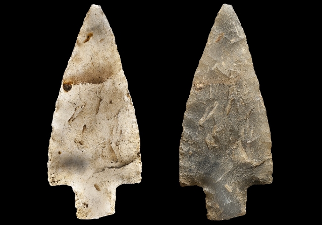 Two arrowheads featuring a stone tip, showcasing ancient craftsmanship and hunting tools from early civilizations.