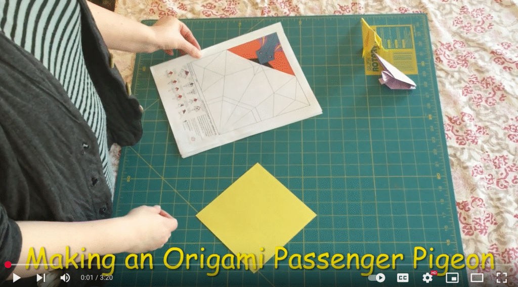 Still from Youtube Making an Origami Passenger Pigeon