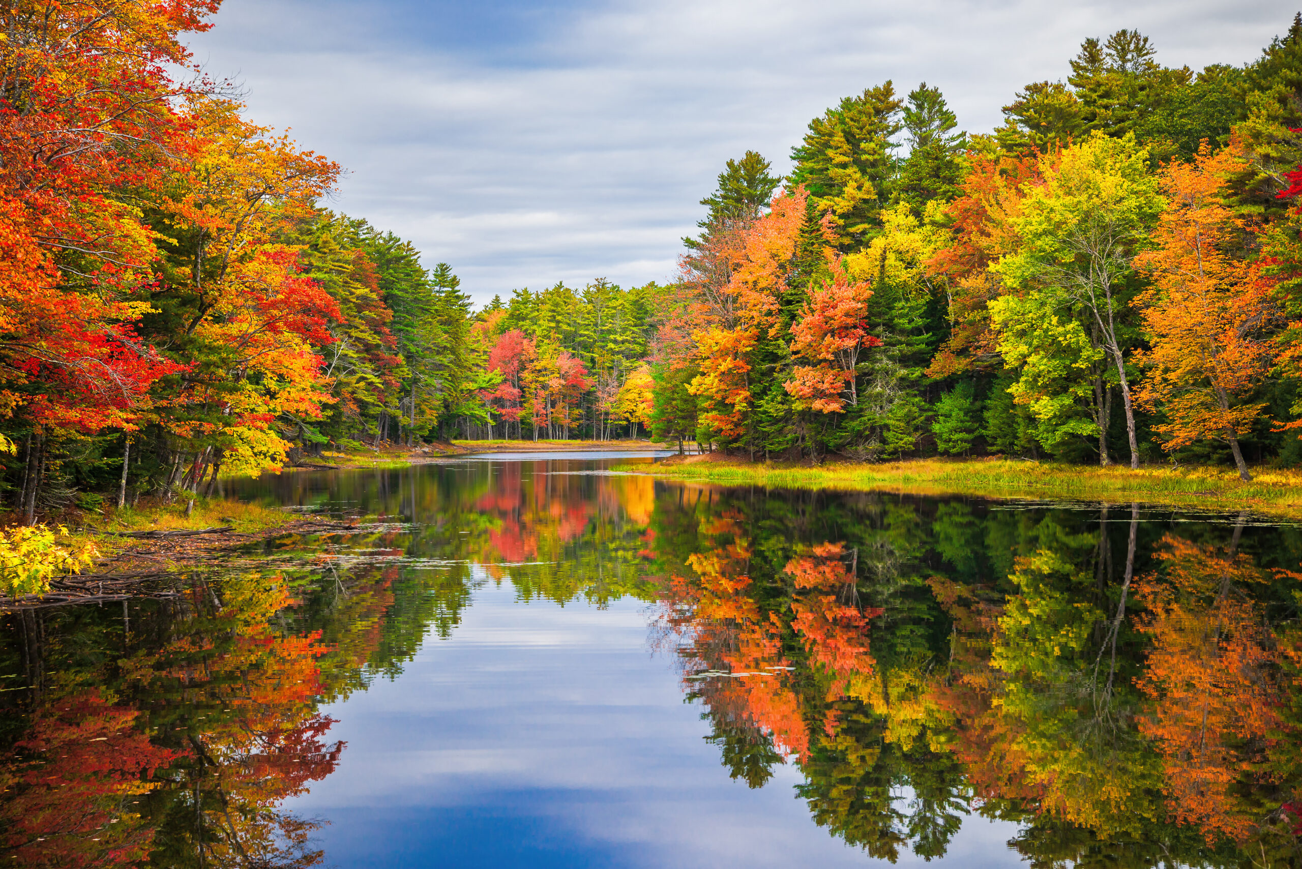 A scenic autumnal view of a lake and trees.